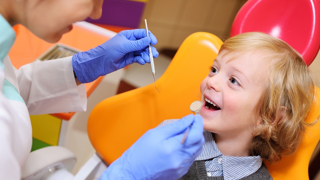 Dental Cleaning Photo